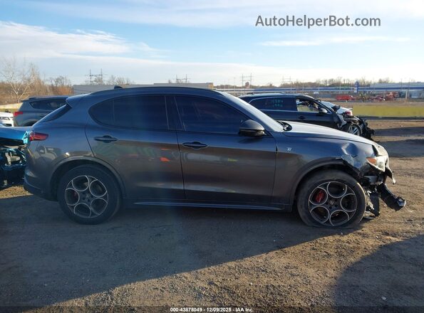 ZASPAKBN0N7D37161 2022 ALFA ROMEO STELVIO Gray Սալոնի հետևի տեսք
