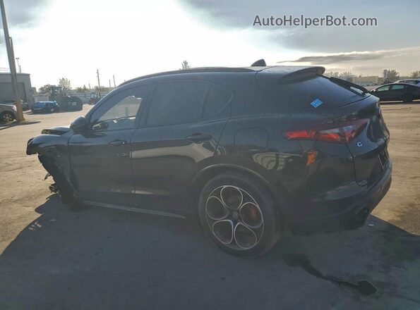 ZASPAKBN2M7D01115 2021 ALFA ROMEO STELVIO Черный Задняя левая четверть