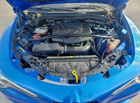ZASPAKBN4M7D18613 2021 ALFA ROMEO STELVIO Blue Вид задньої частини салону