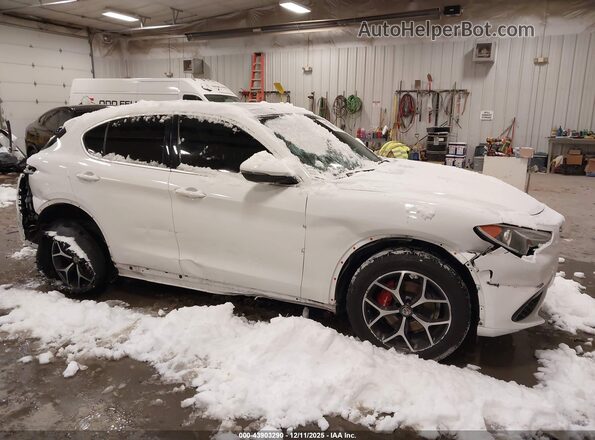 ZASPAKBN5M7C98758 2021 ALFA ROMEO STELVIO White წინა ხედი