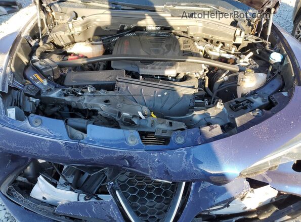 ZASPAKBN5M7D20161 2021 ALFA ROMEO STELVIO Синий Вид подкапотного пространства