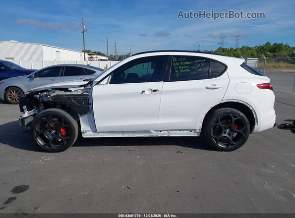 ZASPAKBN5N7D45546 2022 ALFA ROMEO STELVIO White 