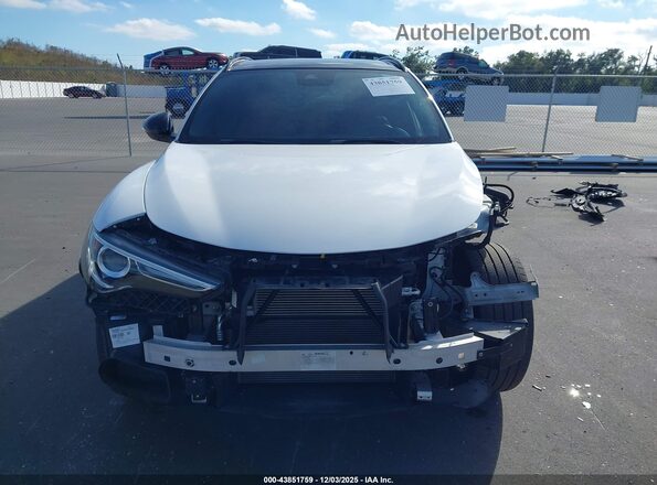 ZASPAKBN5N7D45546 2022 ALFA ROMEO STELVIO White 