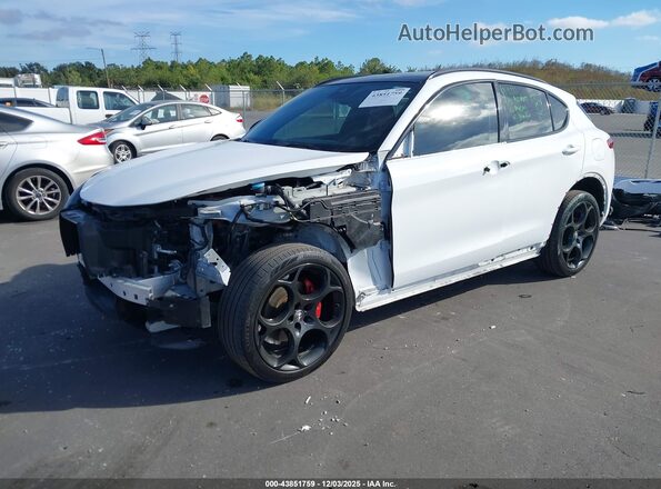 ZASPAKBN5N7D45546 2022 ALFA ROMEO STELVIO White 
