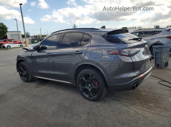 ZASPAKBN5R7D80531 2024 ALFA ROMEO STELVIO Gray Tył lewy