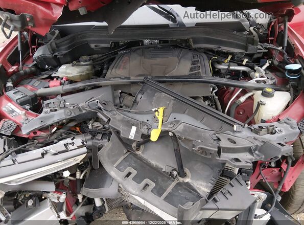 ZASPAKBN6L7C97777 2020 ALFA ROMEO STELVIO Красный Вид сзади