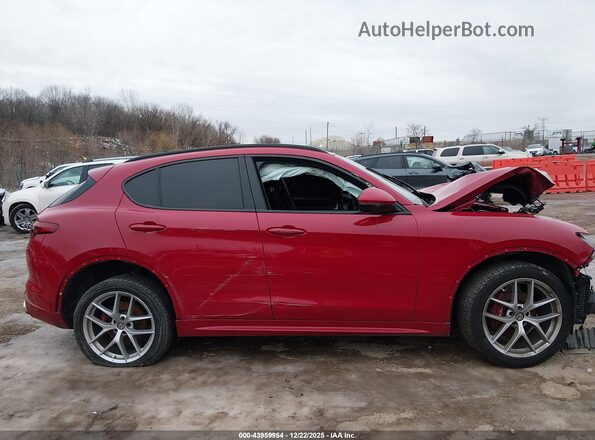 ZASPAKBN6L7C97777 2020 ALFA ROMEO STELVIO Красный Вид задней части салона
