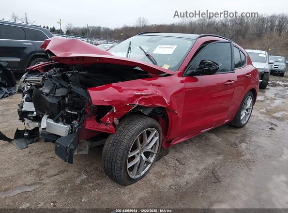 ZASPAKBN6L7C97777 2020 ALFA ROMEO STELVIO Красный Передняя левая четверть