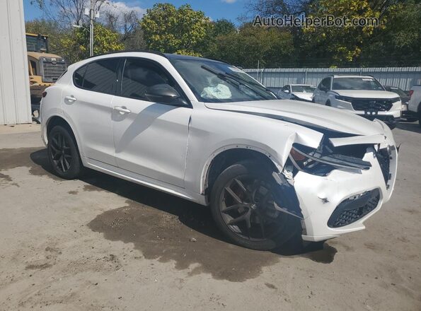 ZASPAKBN7L7C75027 2020 ALFA ROMEO STELVIO Белый Передняя правая четверть