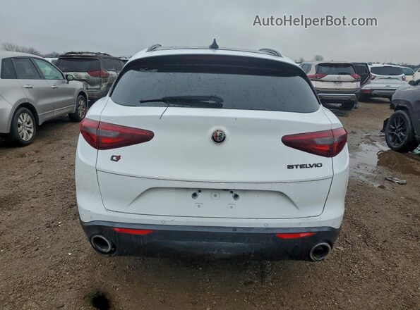 ZASPAKBN7M7D13728 2021 ALFA ROMEO STELVIO Белый Вид сзади