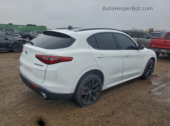 ZASPAKBN7M7D13728 2021 ALFA ROMEO STELVIO Белый Задняя правая четверть