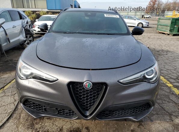 ZASPAKBN7N7D26707 2022 ALFA ROMEO STELVIO Gray Widok z przodu