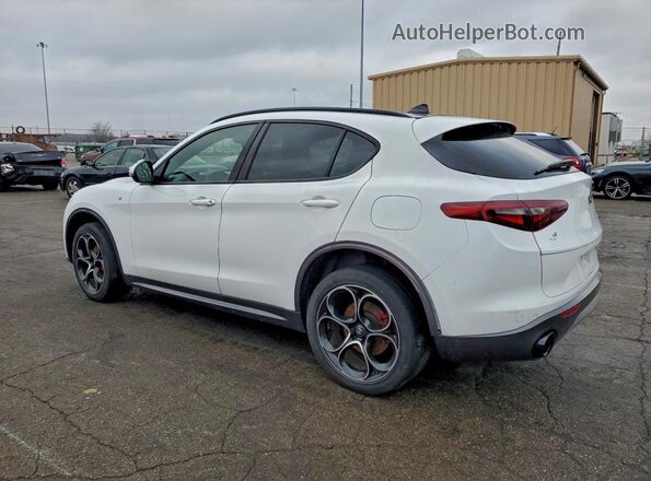 ZASPAKBN7N7D31549 2022 ALFA ROMEO STELVIO White უკანა მარცხენა
