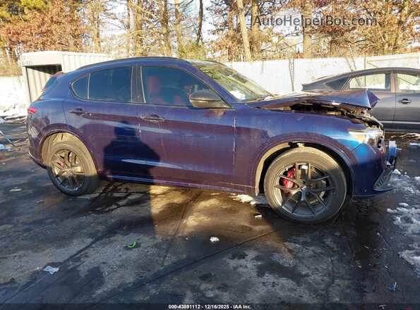 ZASPAKBN8M7D18744 2021 ALFA ROMEO STELVIO Dark Blue Панорамний вид салону 360°