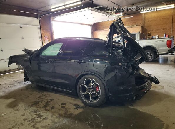 ZASPAKBN8R7D78045 2024 ALFA ROMEO STELVIO Black Задня ліва чверть