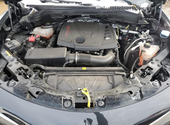 ZASPAKBN9N7D40740 2022 ALFA ROMEO STELVIO Black Սալոնի հետևի տեսք