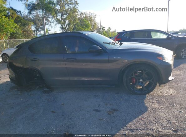 ZASPAKBNXR7D75924 2024 ALFA ROMEO STELVIO Gray Вид задньої частини салону