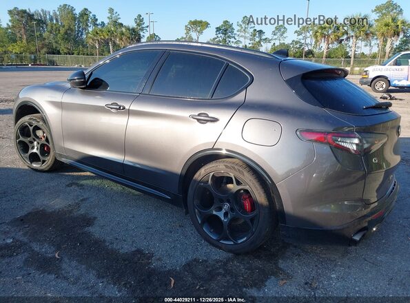 ZASPAKBNXR7D75924 2024 ALFA ROMEO STELVIO Gray Задня ліва чверть
