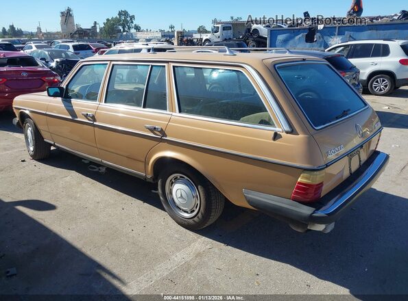 12319012010011    1979 MERCEDES-BENZ 300 Brown Trasero izquierdo