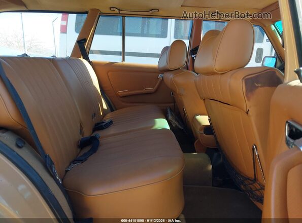 12319012010011    1979 MERCEDES-BENZ 300 Brown Vista de la etiqueta del VIN