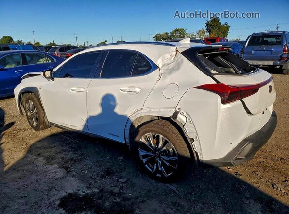 JTHE9JBH9L2035647 2020 LEXUS UX Белый Задняя правая четверть