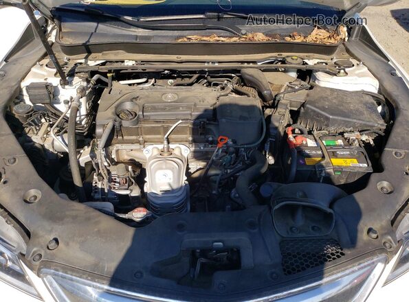 19UUB1F3XGA009619 2016 ACURA TLX Белый Вид задней части салона