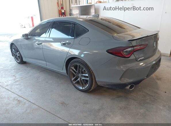 19UUB6F56SA004151 2025 ACURA TLX Gray Задня ліва чверть