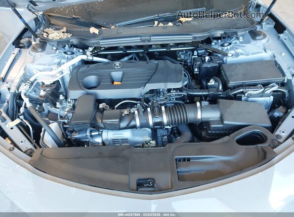 19UUB6F56SA004151 2025 ACURA TLX Gray Вид ззаду