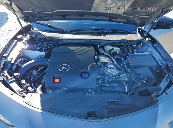 19UUB7F0XPY000337 2023 ACURA TLX Gray უკანა სალონის ხედი