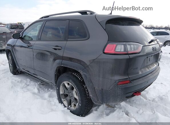 1C4PJMBX8KD188601 2019 JEEP CHEROKEE Gray Tył lewy