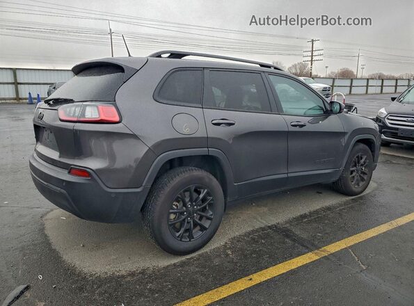 1C4PJMMB2PD111022 2023 JEEP CHEROKEE Gray Tył prawy