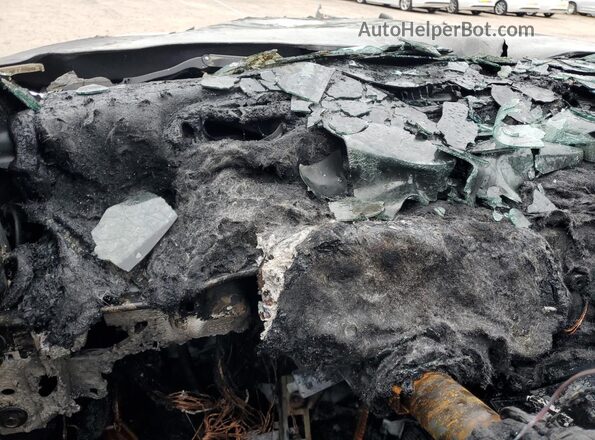 1C4RDJDG4SC502309 2025 DODGE DURANGO Белый 
