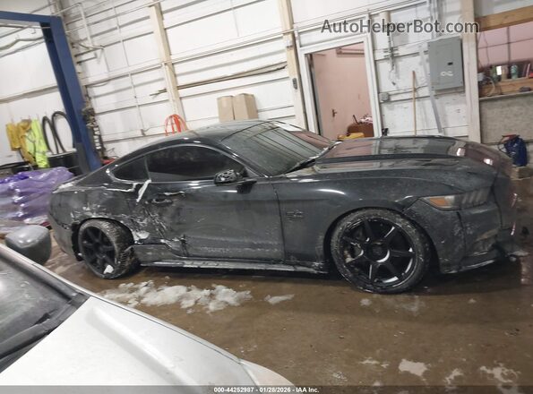 1FA6P8CF5H5316549 2017 FORD MUSTANG Черный Вид задней части салона