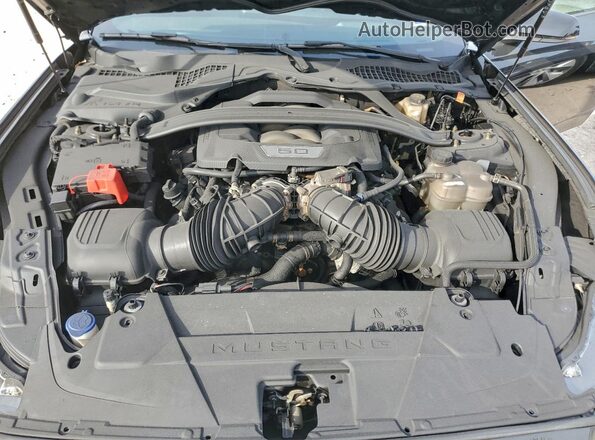 1FA6P8CF5R5432853 2024 FORD MUSTANG Черный Вид задней части салона