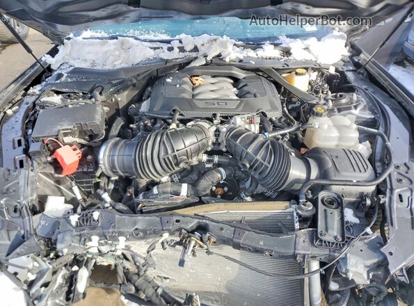 1FA6P8CF6R5401465 2024 FORD MUSTANG Угольный Вид задней части салона