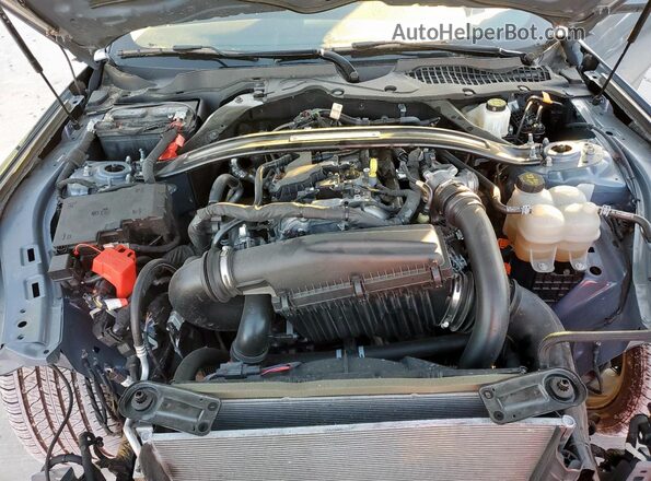 1FA6P8TH1R5116867 2024 FORD MUSTANG Синий Вид задней части салона