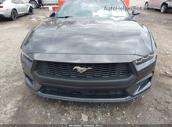 1FA6P8TH2R5146377 2024 FORD MUSTANG Black Սալոնի հետևի տեսք