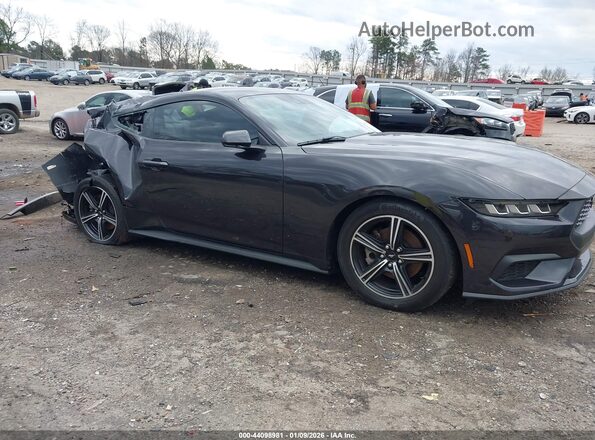 1FA6P8TH2R5146377 2024 FORD MUSTANG Black Սալոնի 360 աստիճան տեսք