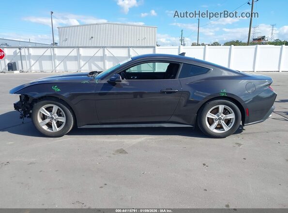 1FA6P8TH4R5109251 2024 FORD MUSTANG Gray Սալոնի 360 աստիճան տեսք