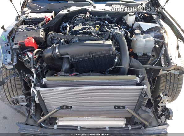 1FA6P8TH4R5109251 2024 FORD MUSTANG Gray Հետևի տեսք
