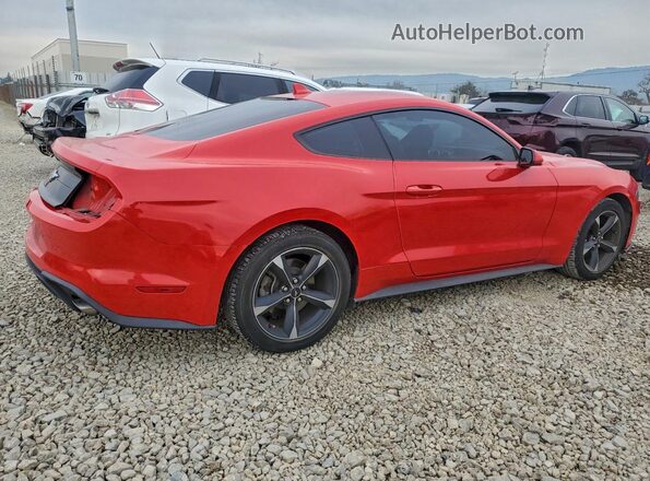1FA6P8TH5N5145976 2022 FORD MUSTANG Red Tył prawy
