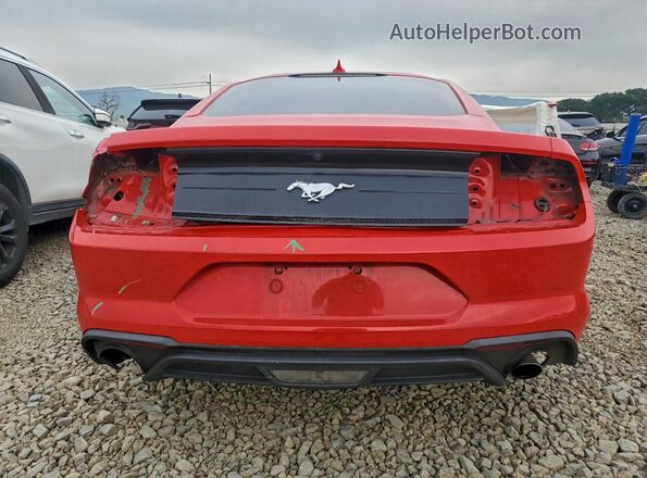 1FA6P8TH5N5145976 2022 FORD MUSTANG Red Widok z tyłu