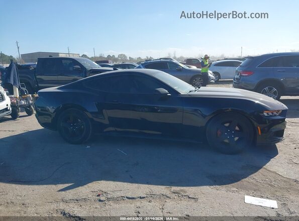 1FA6P8TH6R5127055 2024 FORD MUSTANG Black Widok wnętrza z tyłu