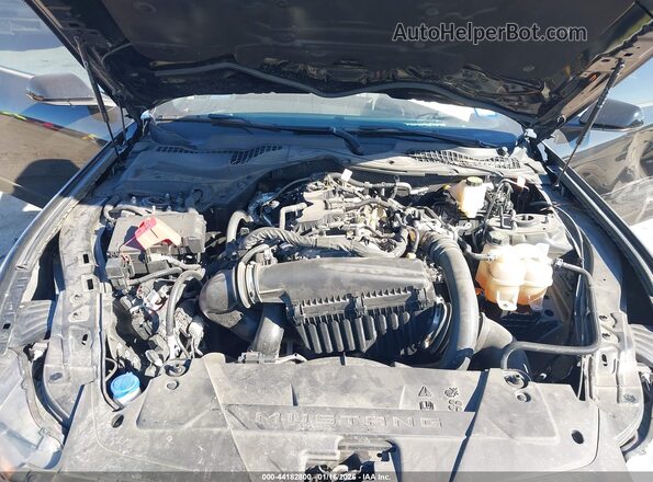 1FA6P8TH6R5127055 2024 FORD MUSTANG Black Widok z tyłu