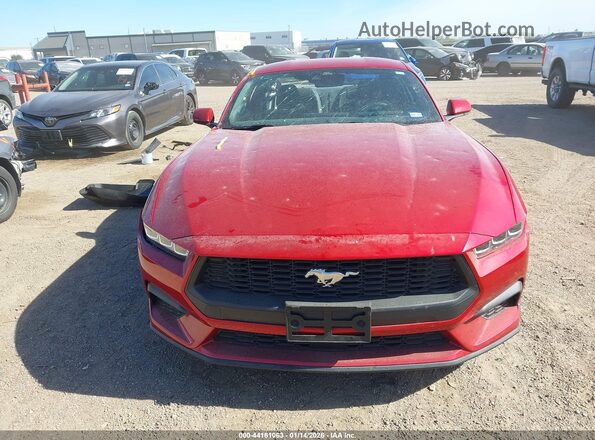 1FA6P8TH9R5141208 2024 FORD MUSTANG Красный Вид спереди