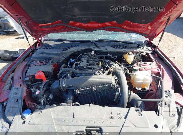 1FA6P8TH9R5141208 2024 FORD MUSTANG Красный Вид сзади