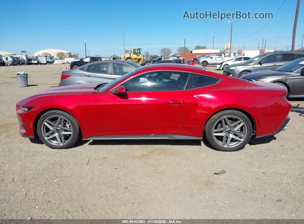 1FA6P8TH9R5141208 2024 FORD MUSTANG Красный 