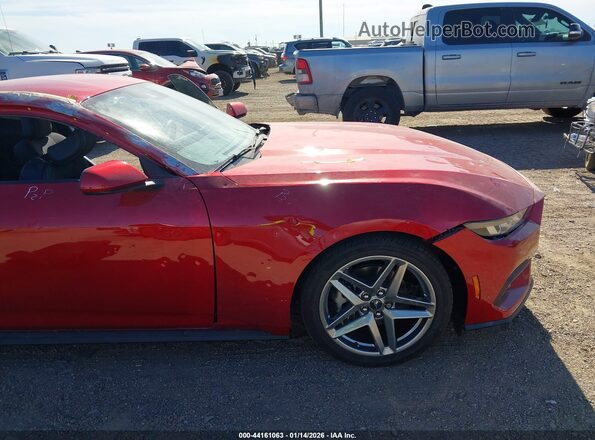 1FA6P8TH9R5141208 2024 FORD MUSTANG Красный 