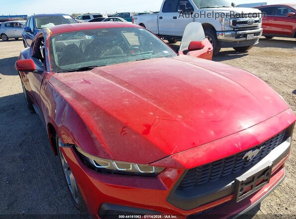 1FA6P8TH9R5141208 2024 FORD MUSTANG Красный 