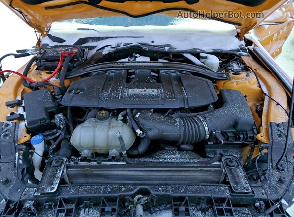 1FATP8FFXN5122142 2022 FORD MUSTANG Yellow Вид задньої частини салону